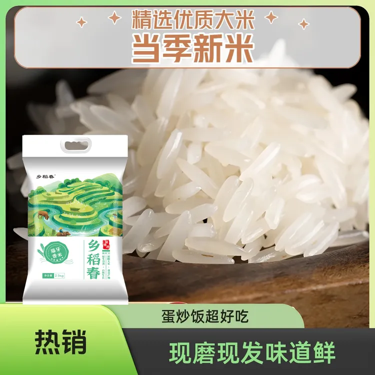 【乡稻春】江西丰城至臻猫牙米当季新米优质大米现磨现发10斤装