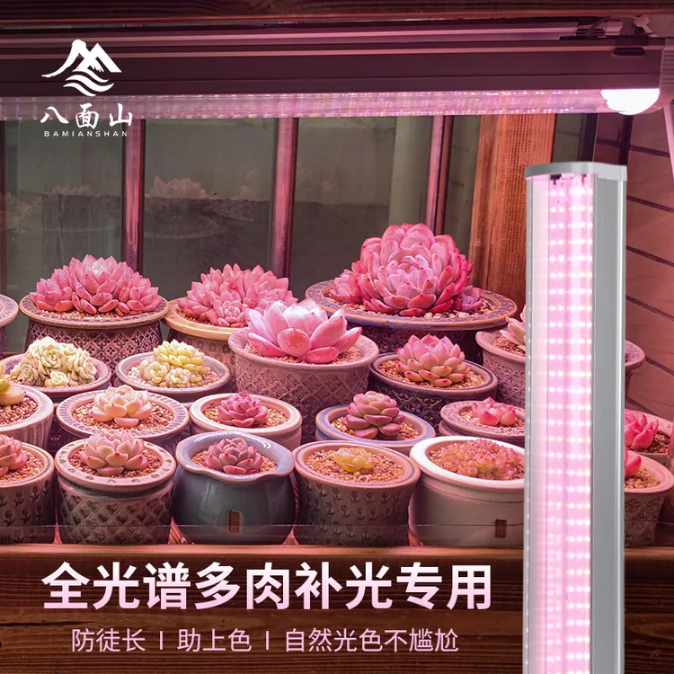 全光谱LED多肉花卉绿植植物生长灯室内多肉上色防徒专用补光灯