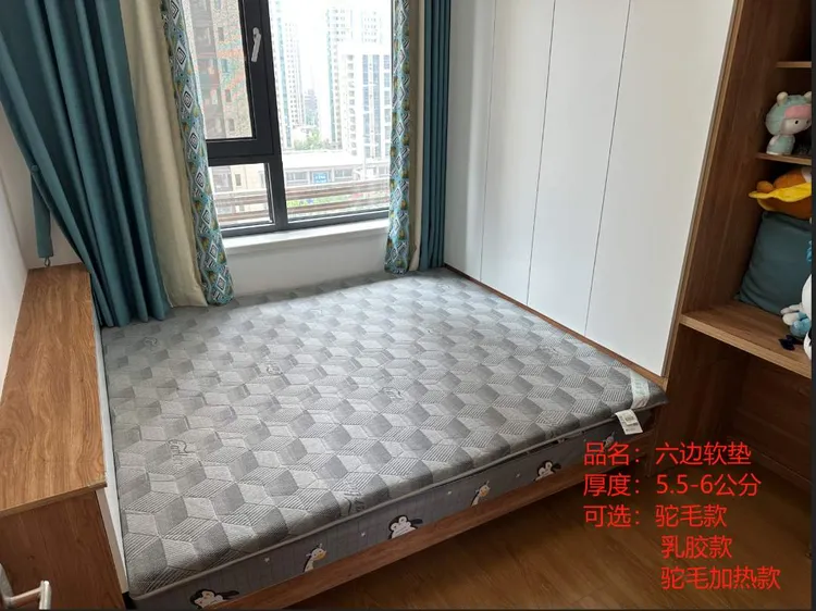 榻榻米加热软床垫柔软舒适保暖纤维软硬。 定制尺寸请先联系客服！