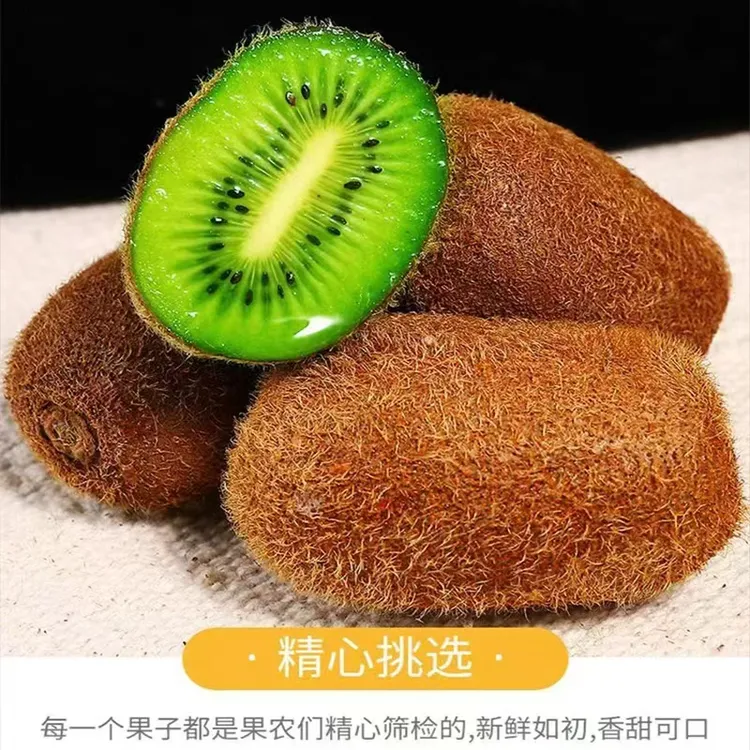 贵州修文贵长猕猴桃