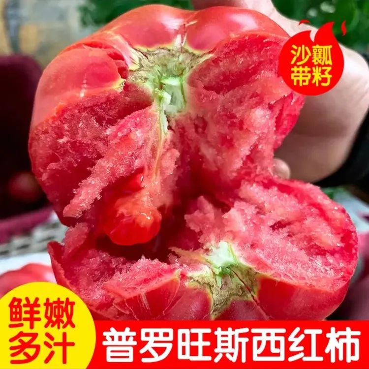 陕西泾阳普罗旺斯西红柿新鲜发货，生吃沙瓤番茄，包邮3-5斤