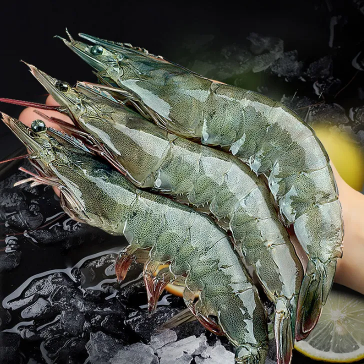〔信成优选〕渤海湾特大青虾鲜虾肉质新鲜紧实鲜活锁鲜深海冷冻