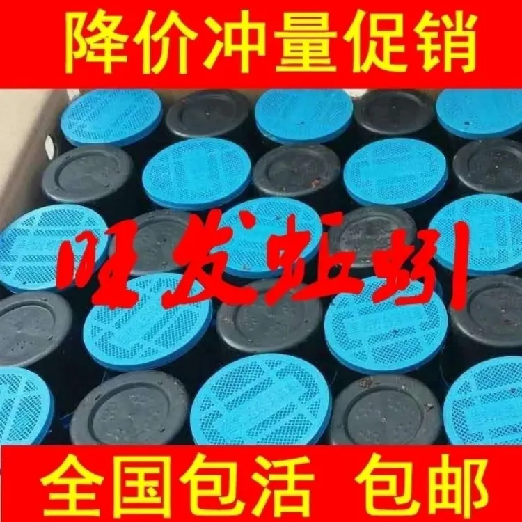 蚯蚓活饵蚯蚓盒装活饵鲜活新鲜活饵渔具活体腥味垂钓鱼饵野钓腥味