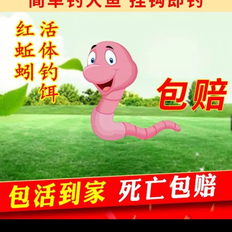 蚯蚓活饵鲜活蚯蚓活体盒装鱼饵活蚯蚓江河红蚯蚓鲜野钓活垂钓包邮