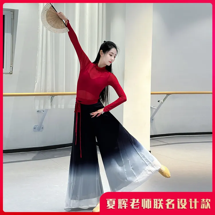 夏辉老师雪龙吟同款武侠服如愿舞蹈表演服渐变色舞蹈服装古典舞服