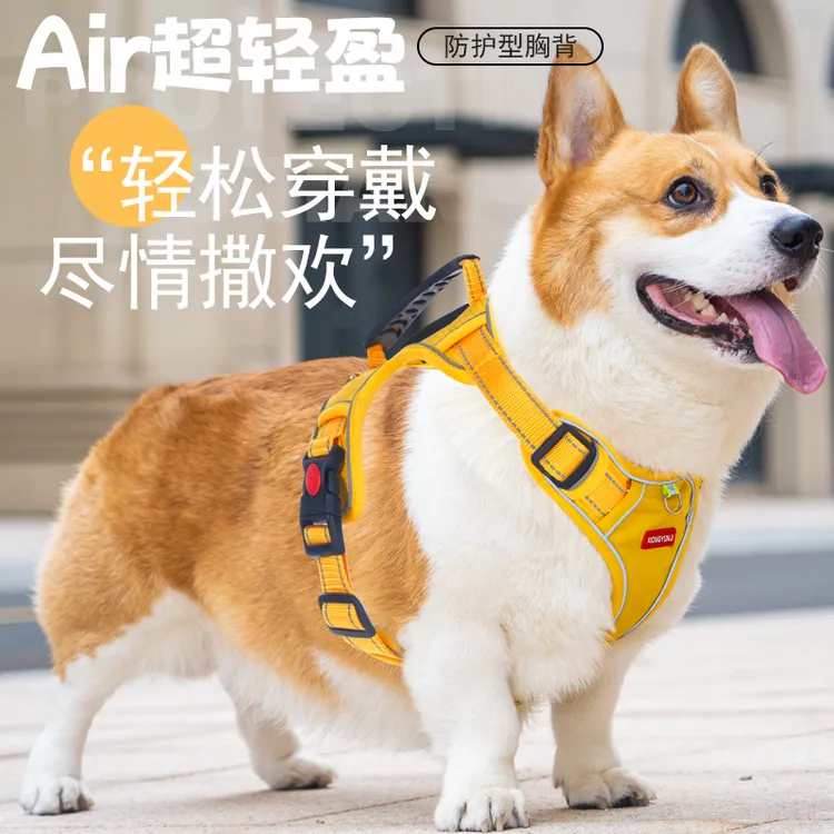 【彩虹糖】狗狗牵引绳背心式中大小型犬柴犬柯基犬专用链可调节狗绳