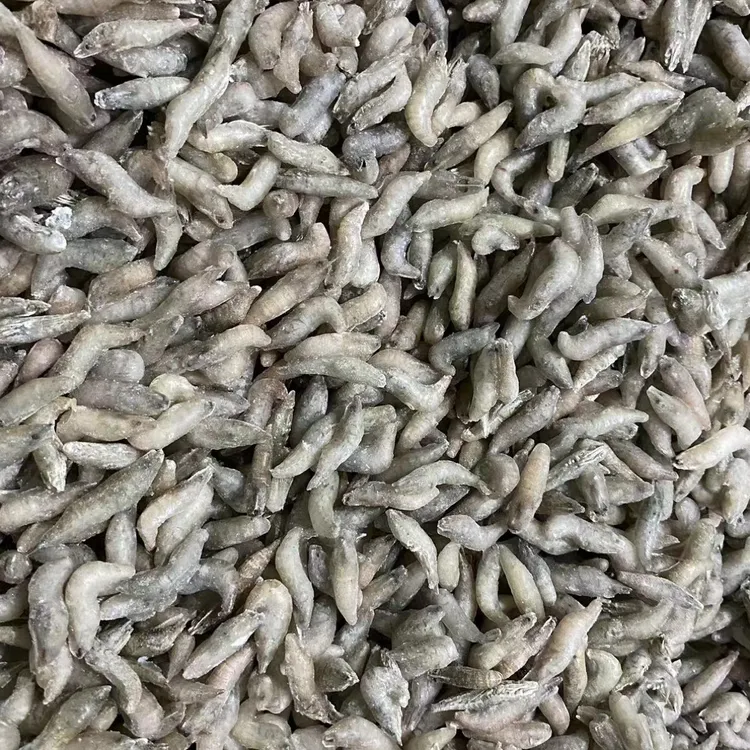 顺丰冷链发货 野生河虾 多维丰年虾