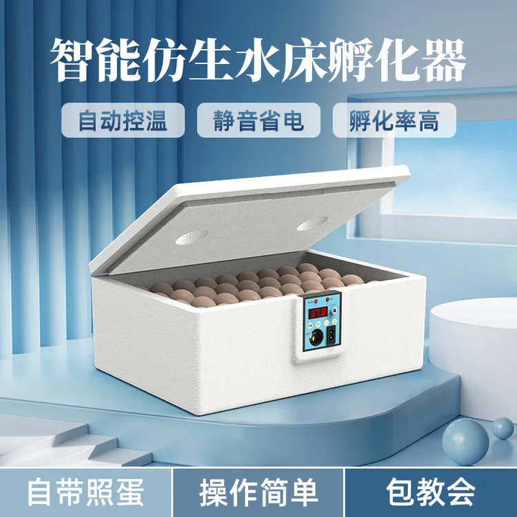 威振水床孵化器供应家用迷你孵化机小鸡鹌鹑鸟蛋芦丁鸡孵蛋箱