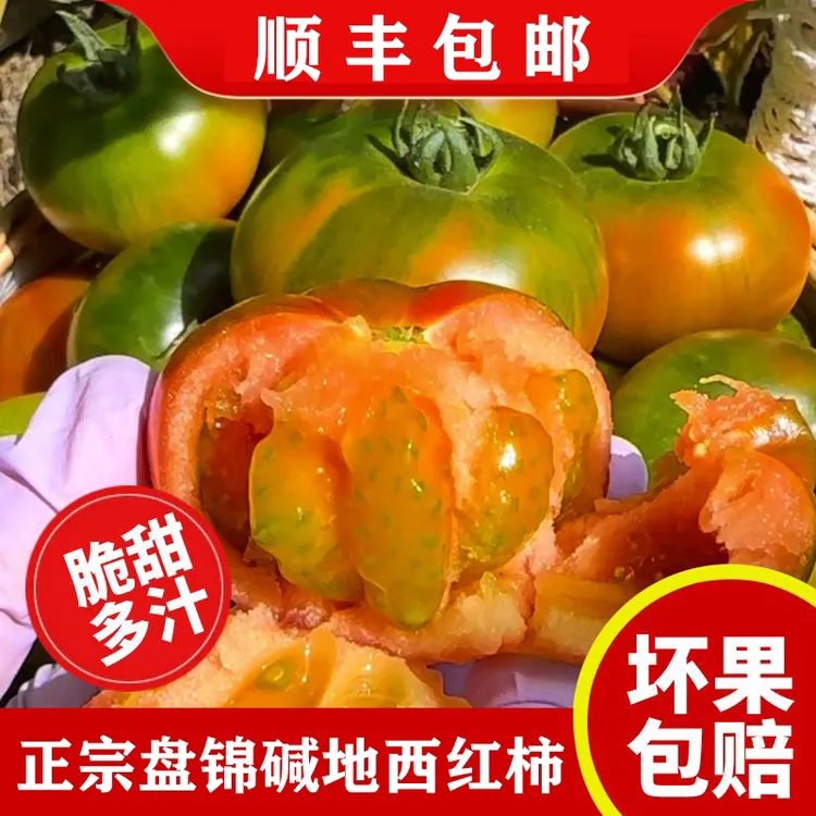 【3/5斤特等果,盘锦碱地番茄】草莓柿子铁皮西红柿农产品顺丰包邮