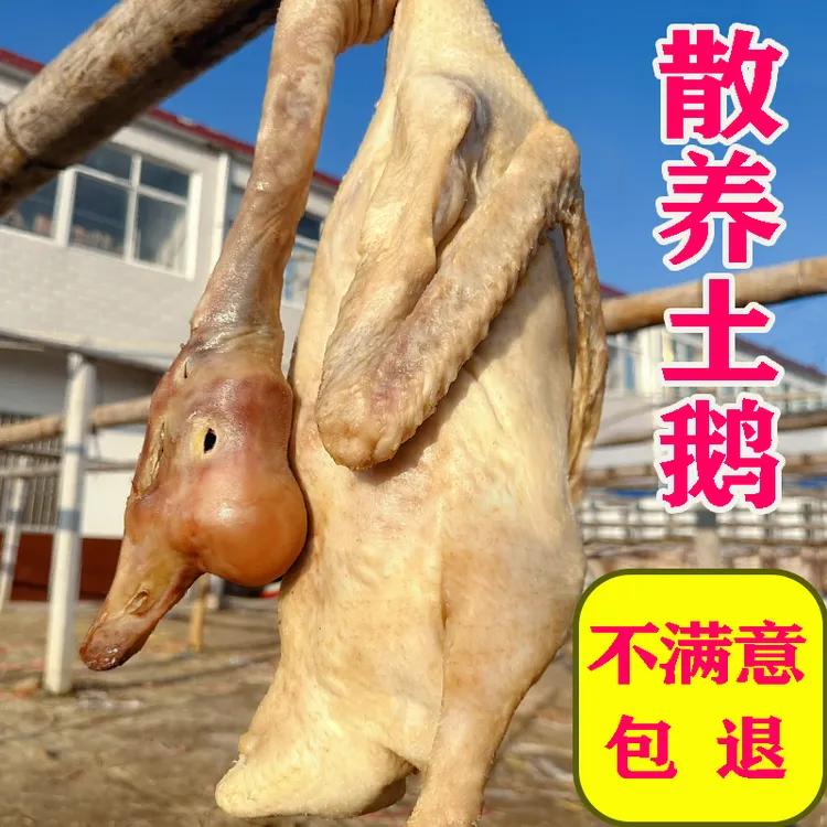 咸老鹅农家散养土鹅肉放养风干咸鹅手工腌制草鹅整只皖西大白鹅