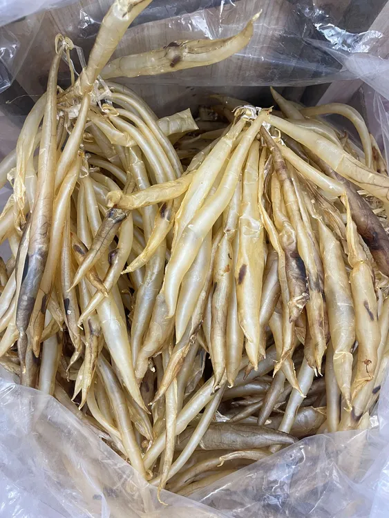 汕尾野生鳗鱼胶鱼肚花胶