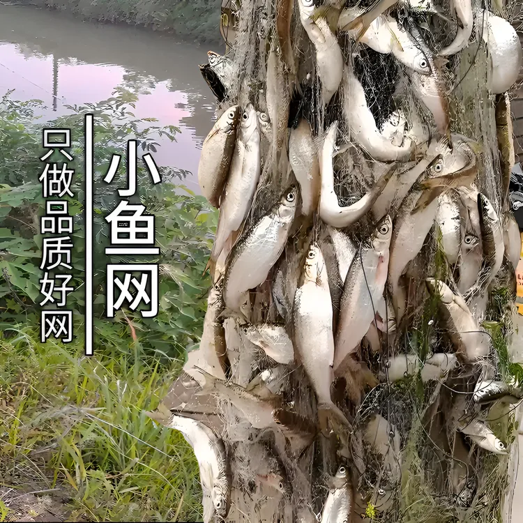 鱼网粘网丝网渔网单层浮网挂网鲫鱼网白条网刁子小鱼网捕鱼网柔丝