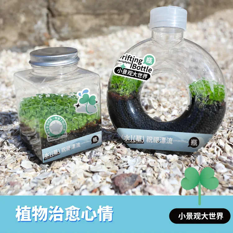 水草祝福漂流瓶种植新年盆栽儿童益智玩具礼盒创意伴手礼物