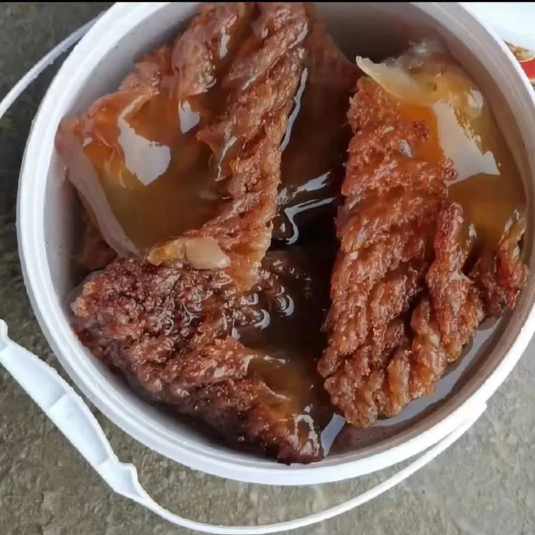 渤海湾野生海蜇特角新鲜海鲜