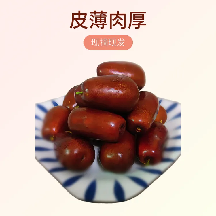 壶瓶枣鲜枣山西太谷特产脆枣水果新鲜红枣2500g现摘现发