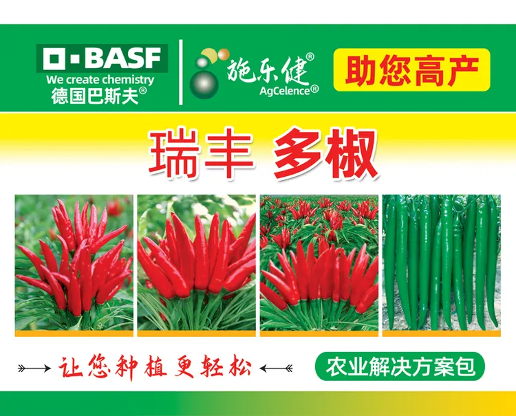 先正达瑞丰多椒防晒防烂果3桶水