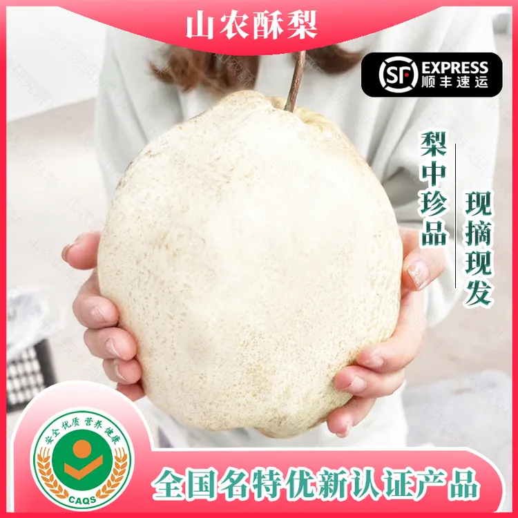 山农酥梨简易包装实惠装 水果皮薄肉细汁水充足