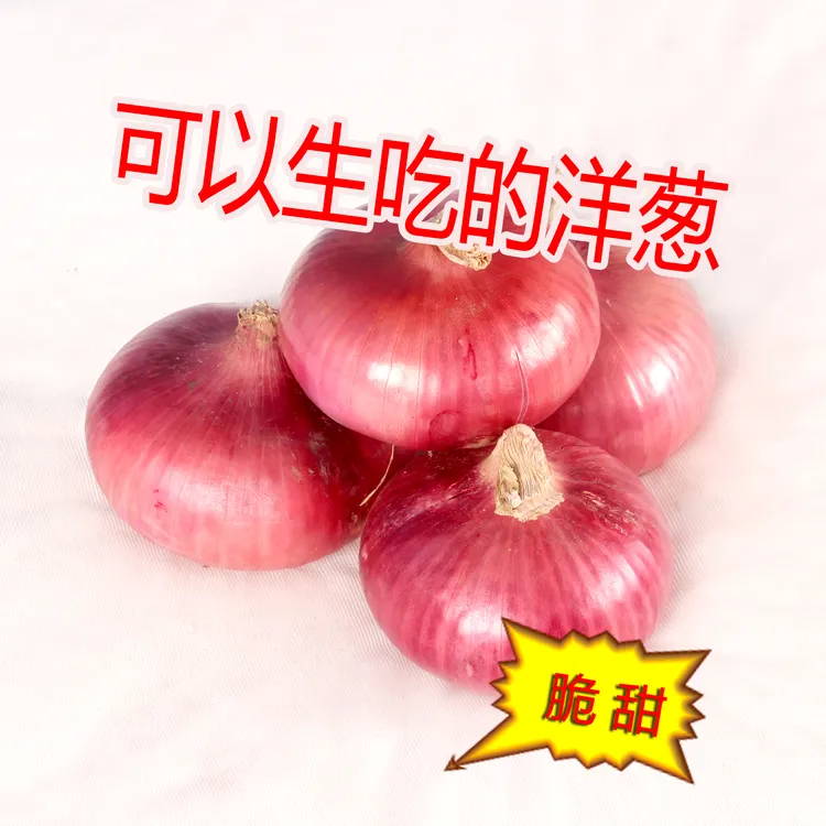 河南新鲜现挖扁平水果扁洋葱微甜微辣实用农产品净重洋葱产地直销