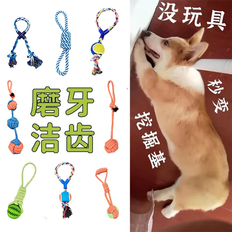 【宠物福利玩具】绳结磨牙狗狗磨牙自己狗狗玩具用品玩具小狗