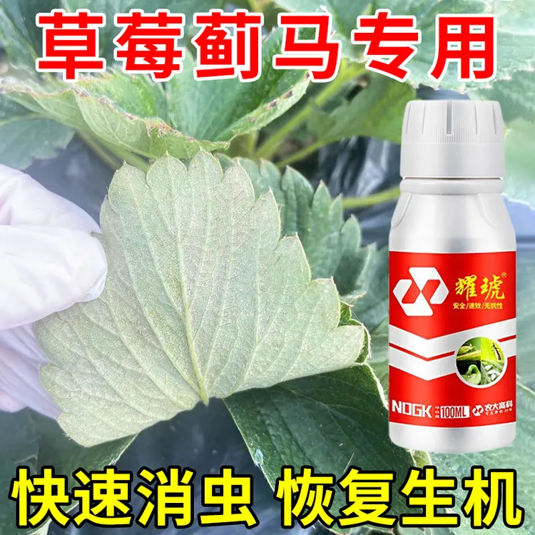 耀琥草莓专用草莓蓟马红蜘蛛专用不伤蜂不伤果实农业专用叶面肥