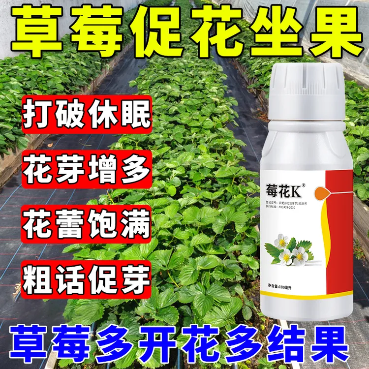 叶面肥花芽分化剂莓之缘花芽素花多花壮保花保果增量增产草莓专用
