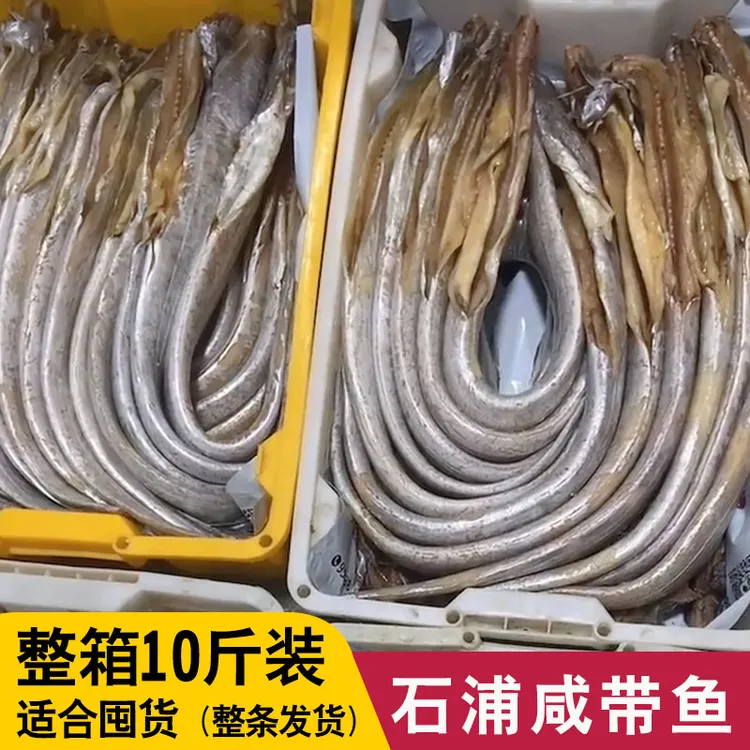 整条散装咸带鱼去头去尾去内脏宁波舟山小眼睛油带半干风带鱼10斤
