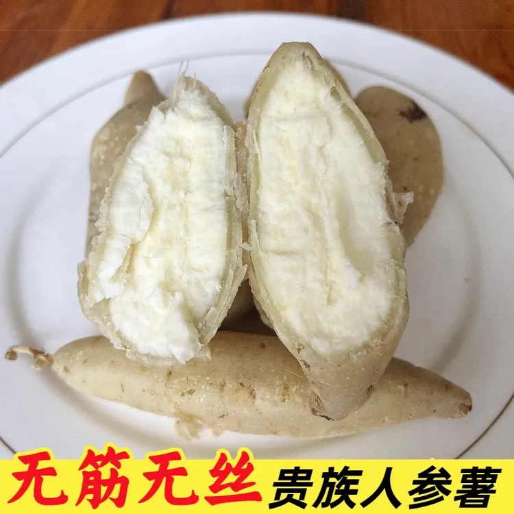 白皮白心人参薯新鲜现挖小白薯板栗红薯白心红薯番薯地瓜