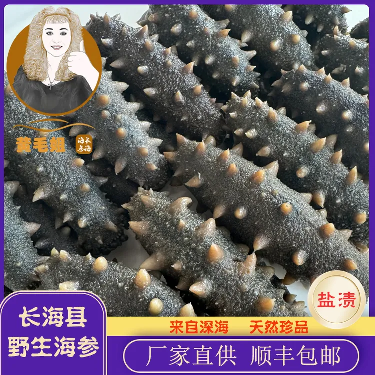 春参18-22头（半干）大连长海县野生白刺参