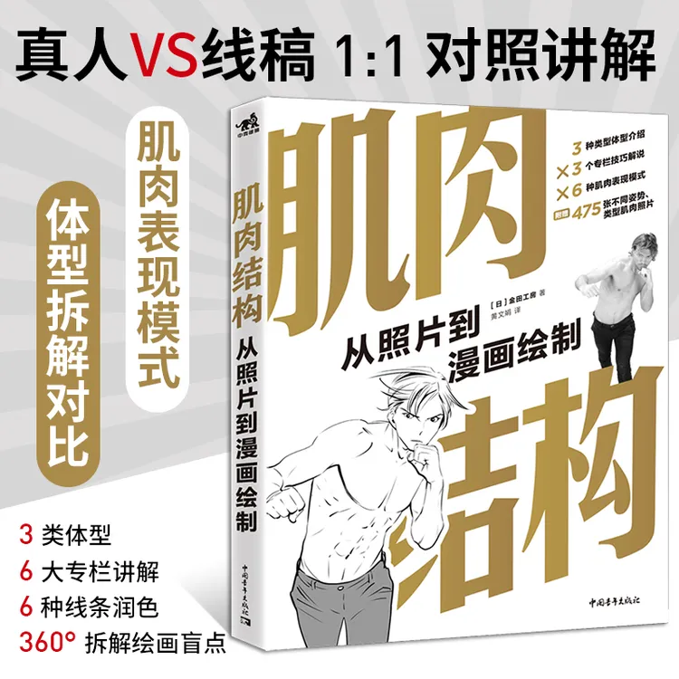肌肉结构：从照片到漫画绘制 人体全肌肉美感表达 中青动漫出品