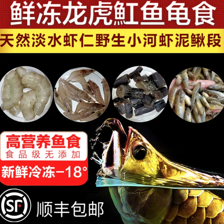 龙鱼魟鱼虎鱼泥鳅段饲料冻河虾泥鳅鱼饲料段冰冻鱼食虾冷冻冰冻虾