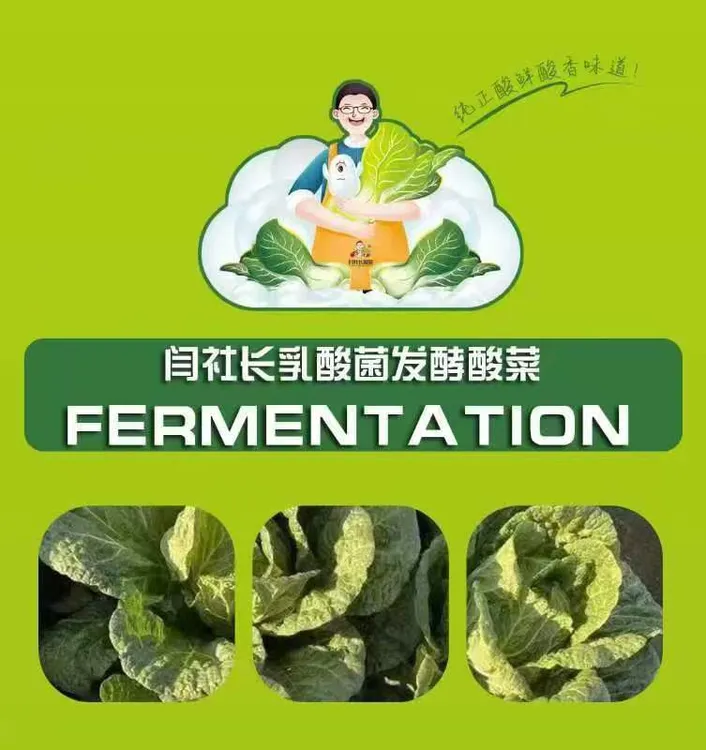 闫社长酸菜【闫社长】即食酸菜东北酸菜东北味乳酸菌 脆嫩酸爽