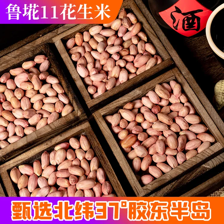 2025年上市正宗山东鲁&花11新鲜大粒花生米精品生米甘甜农家特产
