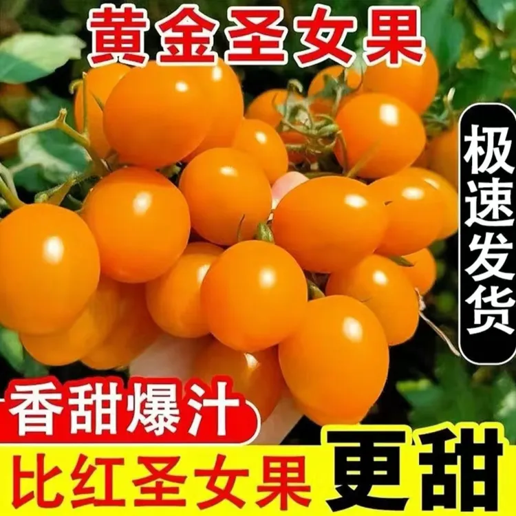 【孕妈   宝妈   宝宝们 必备水果蔬菜】