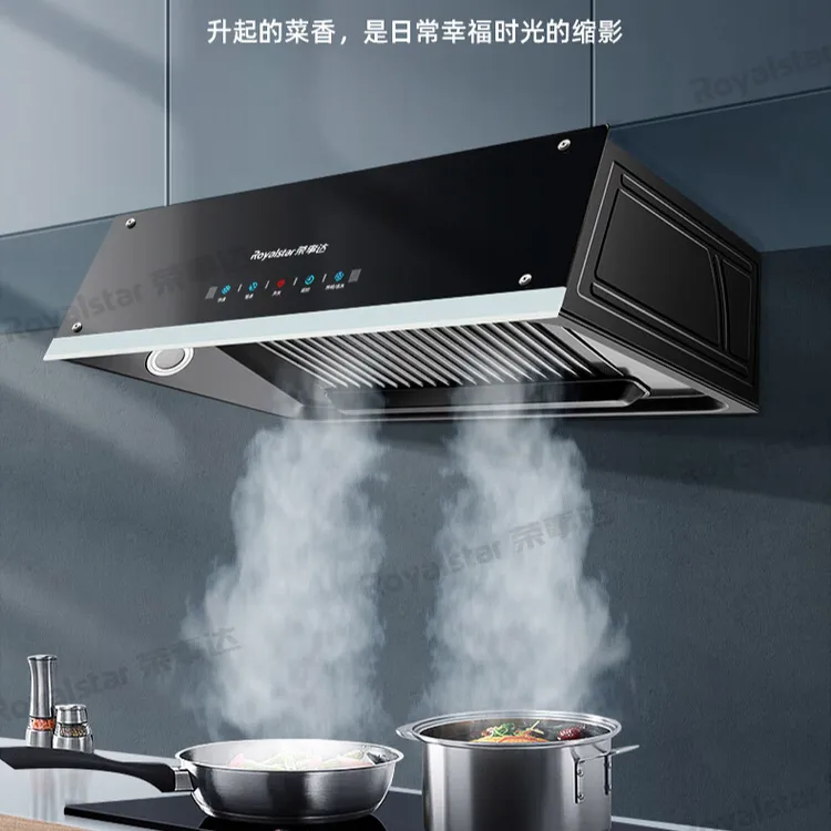 Royalstar/荣事达大吸力抽油烟机家用厨房中式小型老式抽烟机脱