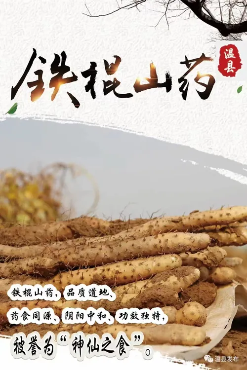 山药温县正宗垆土地铁棍山药47公分左右10斤普通箱包装