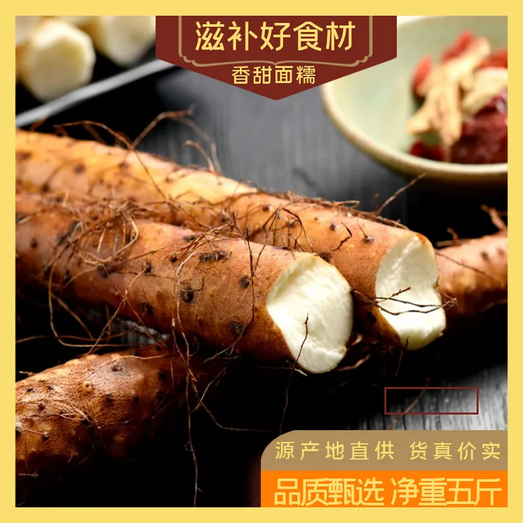 原产地温县正宗垆土地铁棍山药