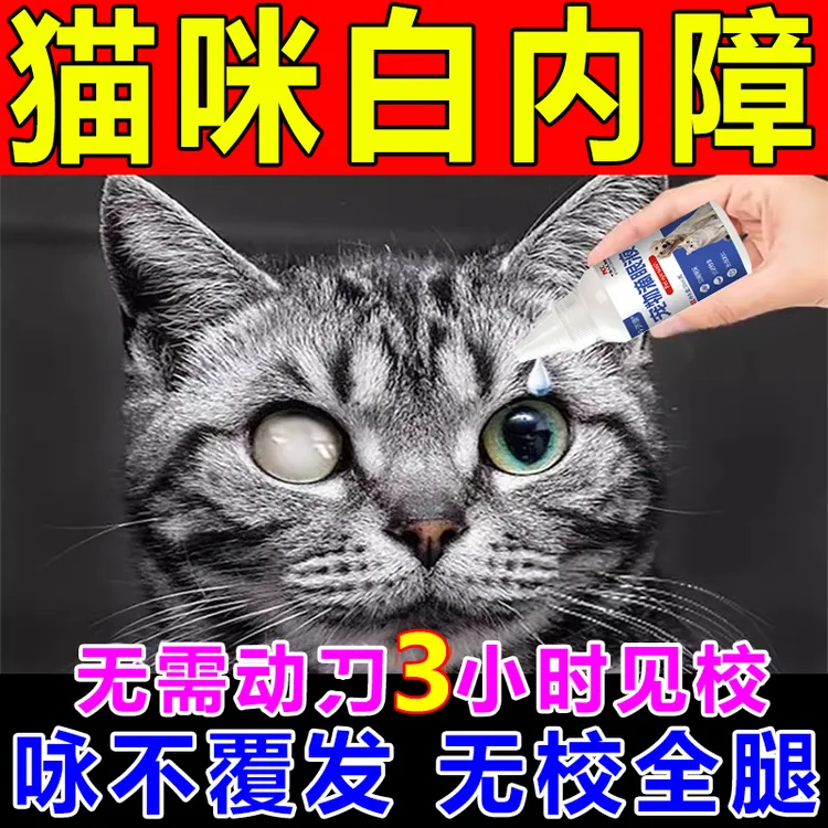 猫咪白内障专用滴眼液猫狗眼部问题宠物通用猫咪眼睛发白怎么办