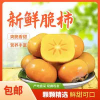 【头茬阳丰脆柿】农家采摘爽脆香甜箱装发货坏果包赔