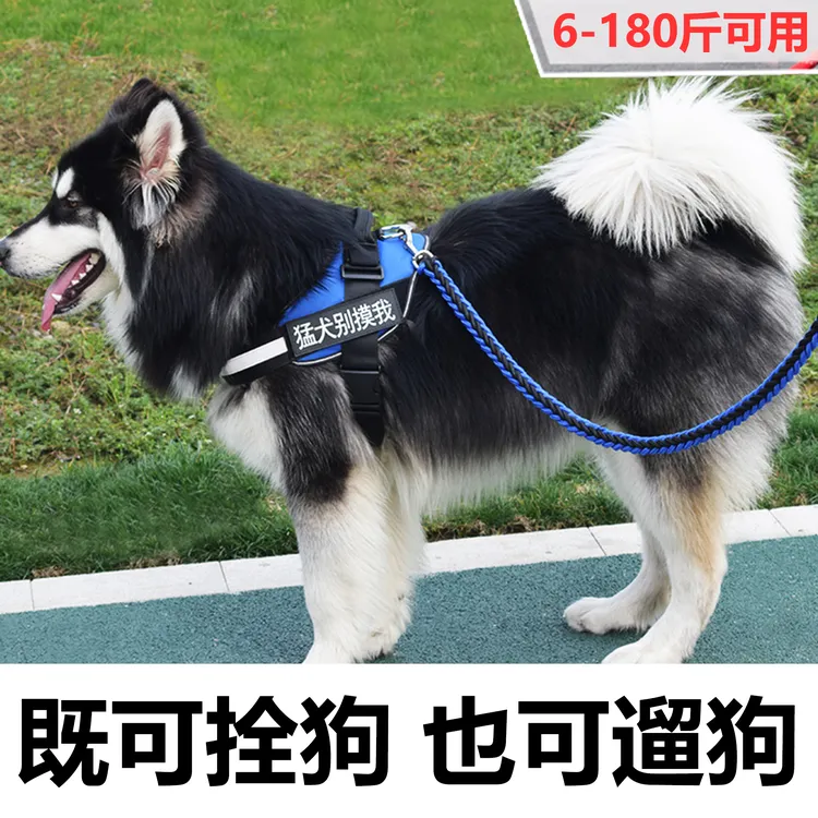 狗狗牵引绳狗胸背带大狗链项圈背心带夜间反光宠物用品K9中大型