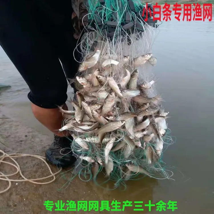 5分6分7分8分9渔民专捕小白条翘嘴鲢子川丁柳根粘网丝网挂捕鱼网