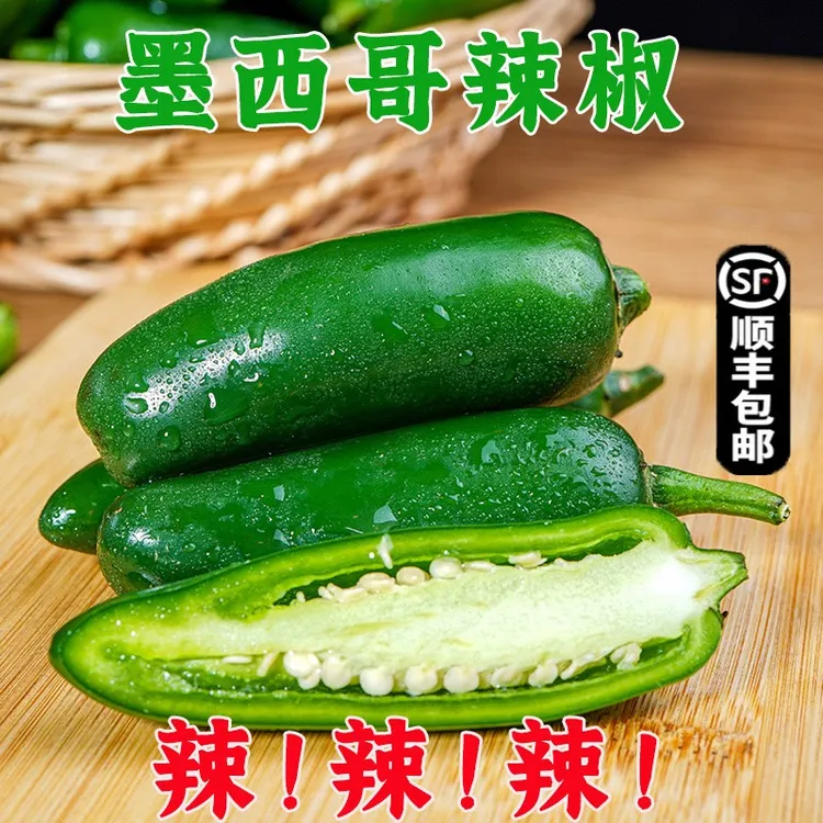 新鲜墨西哥辣椒油焖港椒腌制薄皮青椒哈雷派尼奥子弹头辣椒圆绿椒