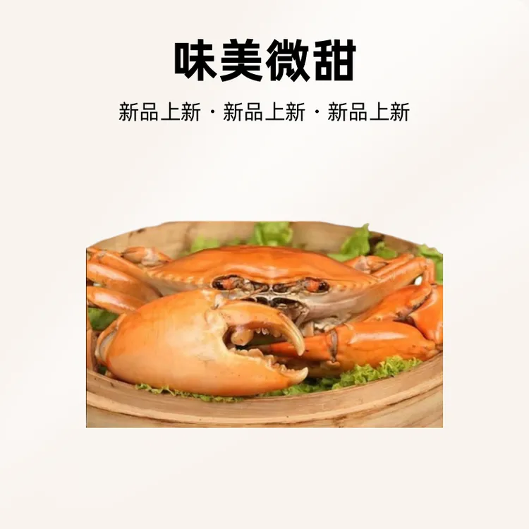 正宗三门青蟹 特大超大公蟹 大母膏蟹 海鲜鲜活