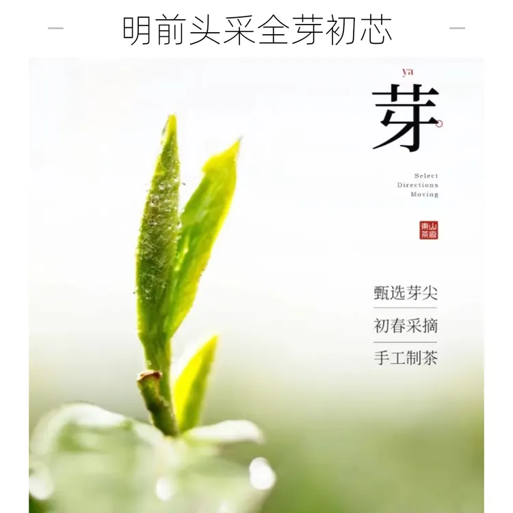 【单芽】2025明前头采单芽初芯正宗洞庭碧螺春全手工果香绿茶礼盒装