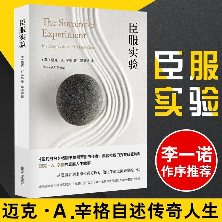 正版臣服实验 迈克A辛格著不羁的灵魂作者 自我励志实现 