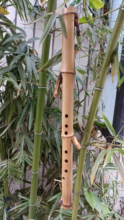 特色竹公料短箫 毛竹洞箫 手工精制异形箫