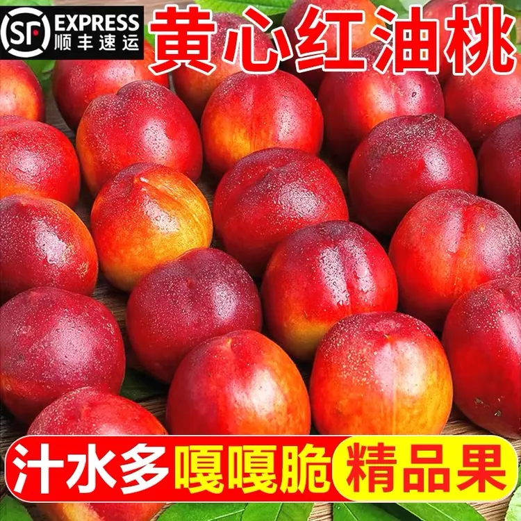【顺丰包邮】头茬特大果脆甜黄肉油桃桃子当季孕妇水果甜脆现摘现发