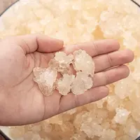 【雪燕】桃胶雪燕皂角米三宝精选