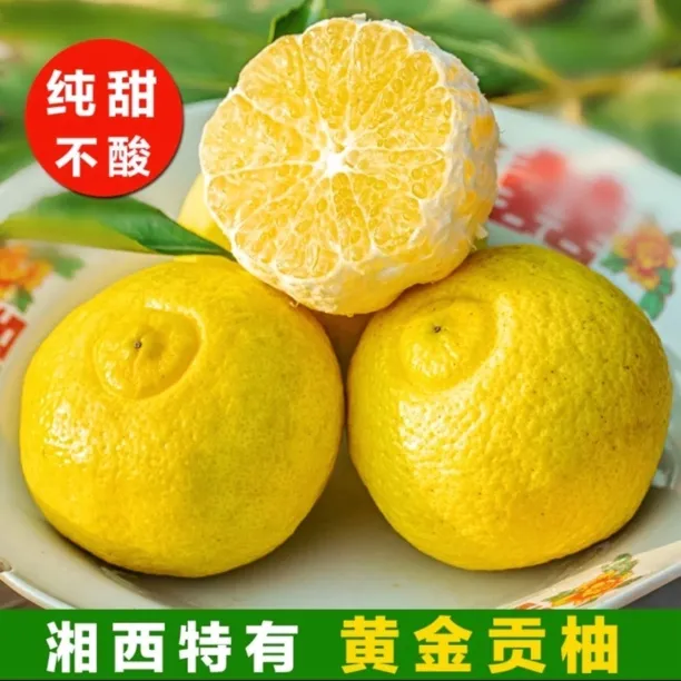 湘西正宗岩垅黄金贡柚新鲜现摘象山青清甜多汁手剥橙春香产地直发