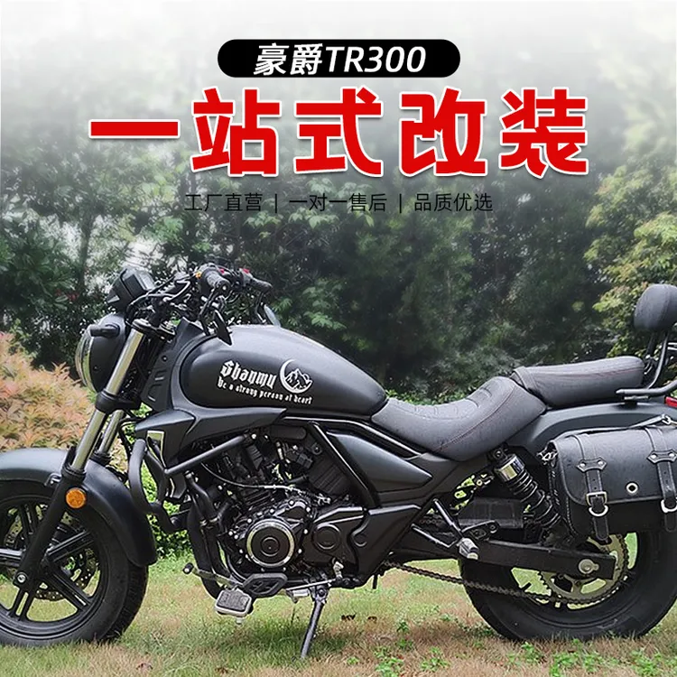 适用豪爵TR300摩托车保险杠护杠折叠靠背后尾架货架皮边包改装