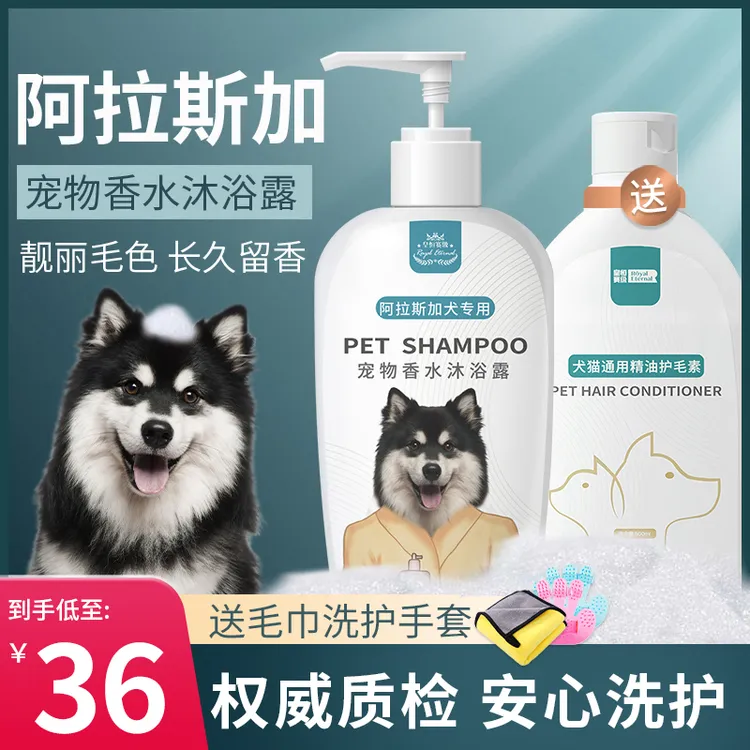 宠物狗狗阿拉斯加白毛专用杀菌杀螨留香洗护一体洗澡狗狗狗沐浴露